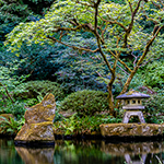 Tea Garden Falls E-Card